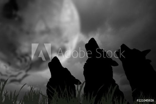 Bild på Wolf  Silhouette of wolves with moon at night Digital retouch